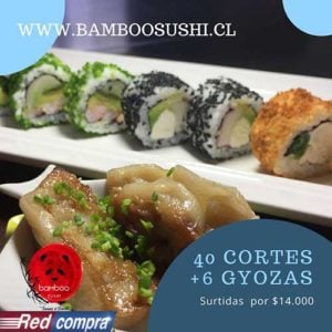 Promocion 40 gyosas bamboo sushi